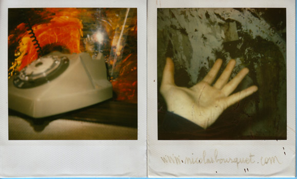 10_pola-015