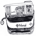 pola