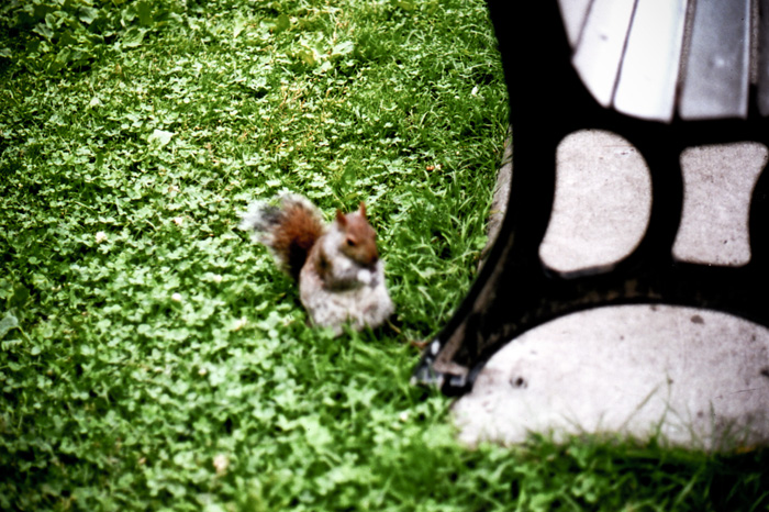 blog272