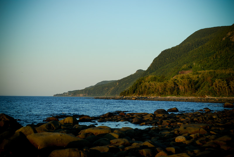 blog279